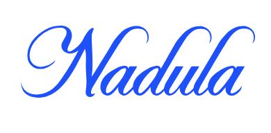 Nadula Discount Code & Promo Code - September 2026 logo